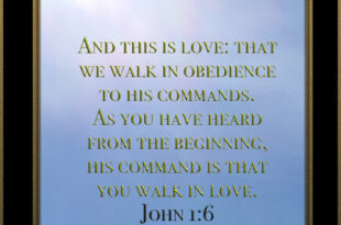 John 1:6 (NIV)
