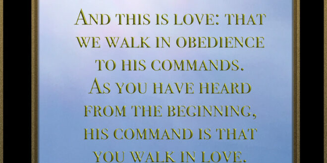 John 1:6 (NIV)
