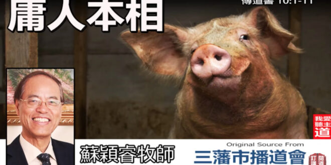 傳道書10:1-11