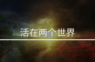 活在两个世界