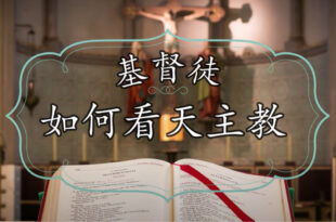 天主教和基督新教有甚麼不同